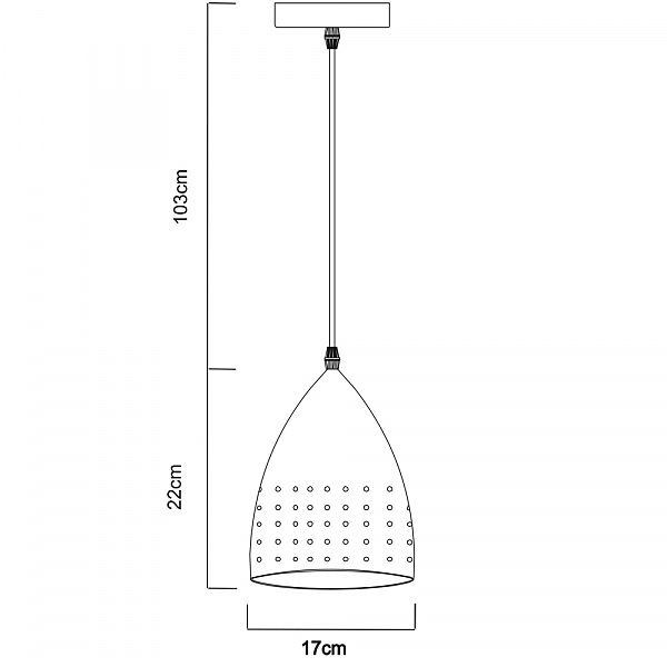 Светильник подвесной Arte Lamp A4081SP-1SS