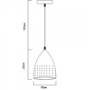 Светильник подвесной Arte Lamp A4081SP-1SS