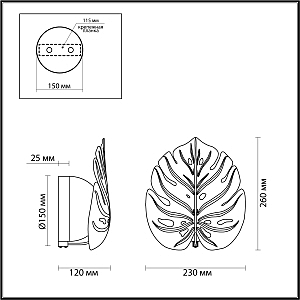 Настенное бра Odeon Light EXCLUSIVE Jungle 4865/1WA