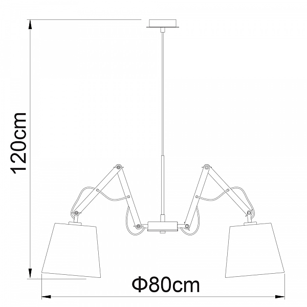 Подвесная люстра Arte Lamp PINOCCIO A5700LM-5BK