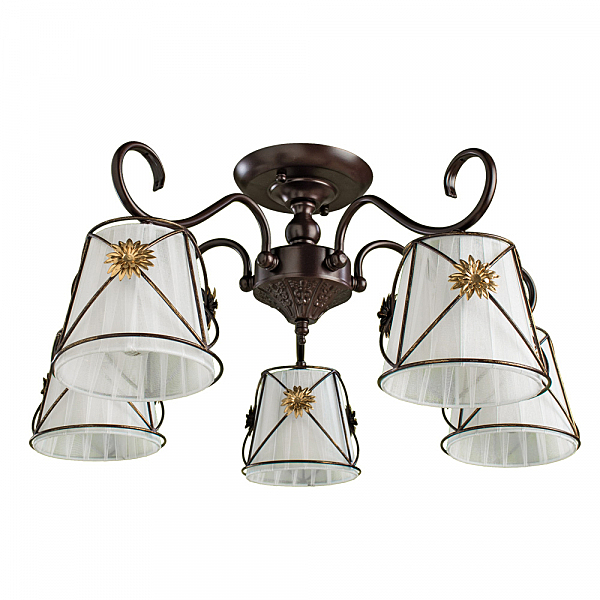 Потолочная люстра Arte Lamp Fortuna A5495PL-5BR