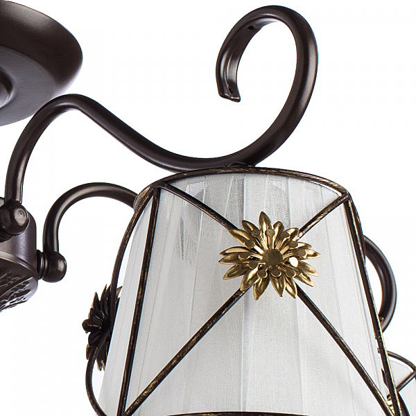 Потолочная люстра Arte Lamp Fortuna A5495PL-5BR