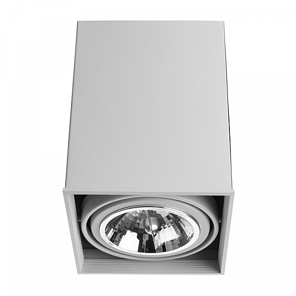 Светильник потолочный Arte Lamp A5936PL-1WH