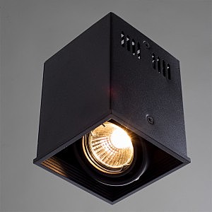 Светильник потолочный Arte Lamp A5942PL-1BK