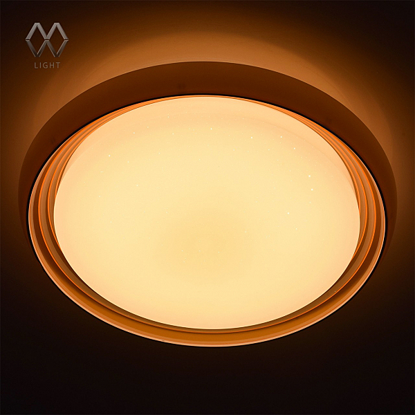 Потолочный LED светильник MW Light Ривз 674011801