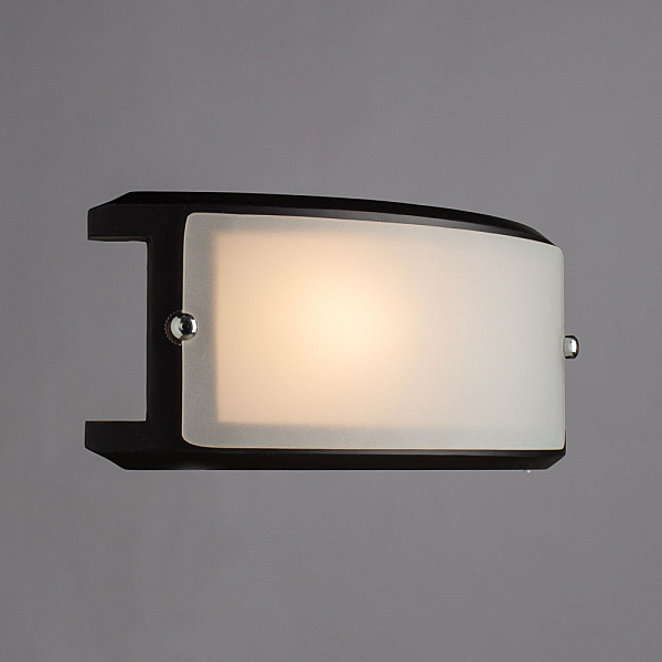 Настенно потолочный светильник Arte Lamp ARCHIMEDE A6462AP-1CK