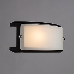 Настенно потолочный светильник Arte Lamp ARCHIMEDE A6462AP-1CK