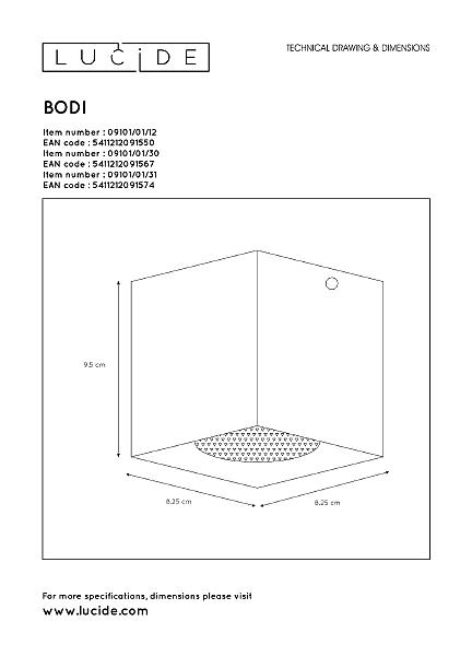 Накладной светильник Lucide Bodi 09101/01/12