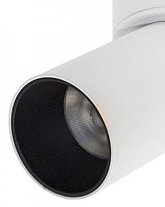 Накладной светильник Lumien Hall Торин 8001/1CS-WT-BK