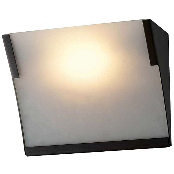 Настенно потолочный светильник Odeon Light ANEL 2022/1W