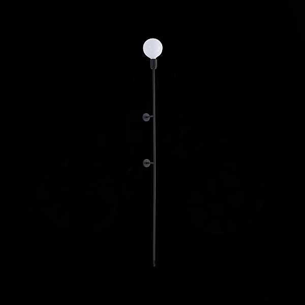 Настенный светильник ST Luce Gante SL1015.401.01