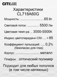 Потолочный светодиодный светильник Citilux Альпина CL718A60G