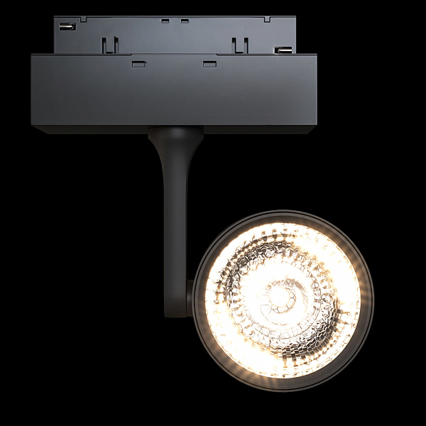 Трековый светильник Maytoni Track Lamps TR024-2-10B4K