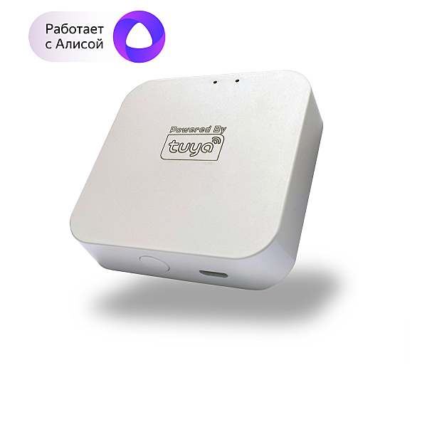 Wi-Fi реле Denkirs Smart Control DK7400-WF