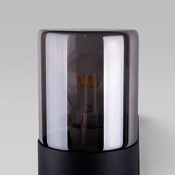 Уличный настенный светильник Elektrostandard Roil Roil (35125/D) чёрный/дымчатый плафон