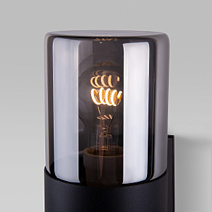 Уличный настенный светильник Elektrostandard Roil Roil (35125/D) чёрный/дымчатый плафон