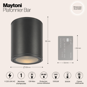 Уличный потолочный светильник Maytoni Bar O306CL-L12GF