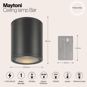 Уличный потолочный светильник Maytoni Bar O306CL-L12GF