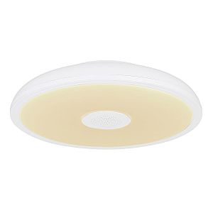 Светильник потолочный Globo Raffy 41366W