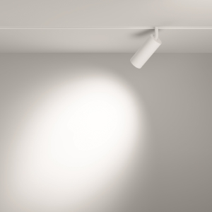 Трековый светильник Maytoni Focus LED Exility TR032-2-12W4K-S-W