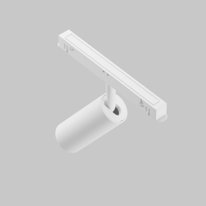 Трековый светильник Maytoni Focus LED Exility TR032-2-5W4K-S-W
