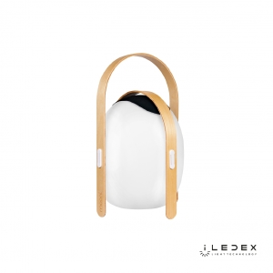 Настольная лампа ILedex Giggle OVS1100-CH WH