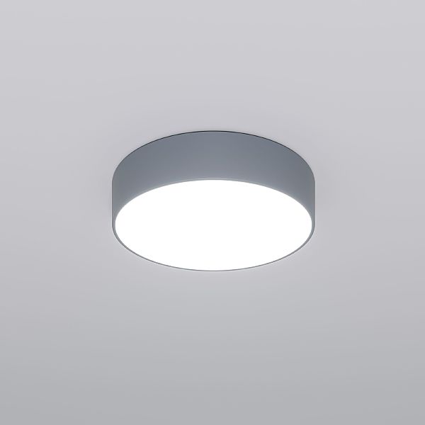 Светильник потолочный Eurosvet Entire 90318/1 серый