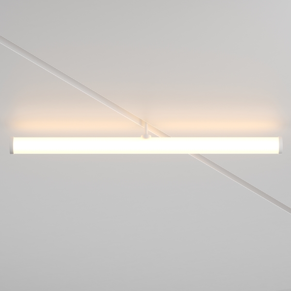 Трековый светильник Maytoni Larc Exility TR086-2-25W3K-W