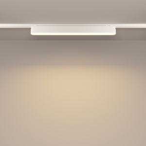 Трековый светильник Maytoni BASIS Radity TR080-1-18W3K-W