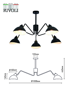 Потолочная люстра Rivoli Geraldine 4101-305