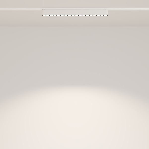 Трековый светильник Maytoni POINTS Radity TR082-1-18W4K-M-W