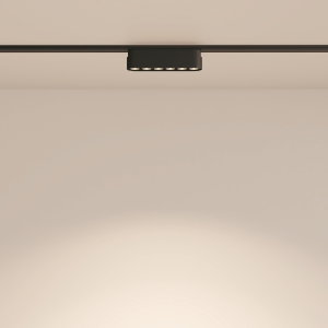 Трековый светильник Maytoni POINTS Radity TR082-1-6W4K-M-B
