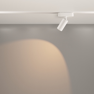 Трековый светильник Maytoni Focus Led Radity TR103-1-12W3K-M-W