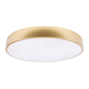 Светильник потолочный Loft It Flims 10228/A