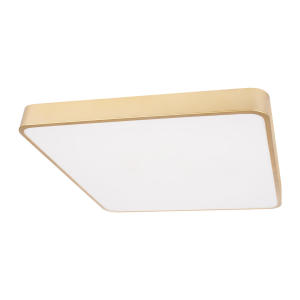 Светильник потолочный Loft It Flims 10228/D