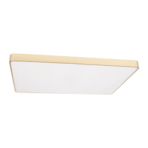 Светильник потолочный Loft It Flims 10228/E