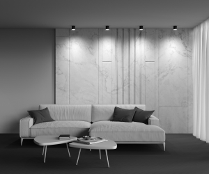 Накладной светильник Maytoni Ceiling & Wall C088CL-GX53-B