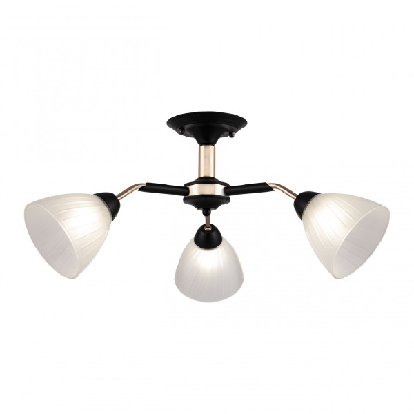 Потолочная люстра Arte Milano Napoli 324108/3 BK+FG