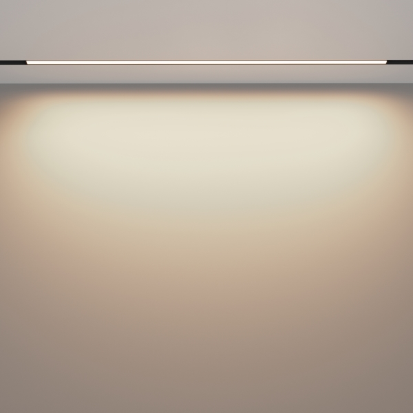 Трековый светильник Maytoni Basis Exility TR030-2-30W3K-B