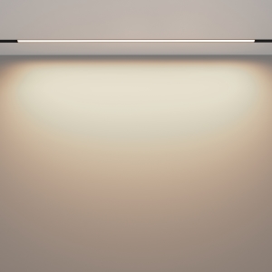 Трековый светильник Maytoni Basis Exility TR030-2-30W3K-B