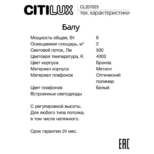 Светильник подвесной Citilux Балу CL207023