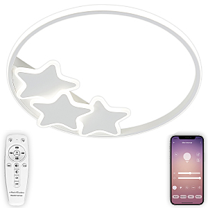 Потолочная люстра Natali Kovaltseva LEDLIGHT LED LAMPS 81180
