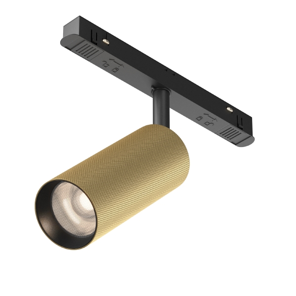 Трековый светильник Maytoni Artisan Exility TR097-2-12W4K-M-BMG