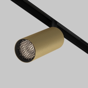 Трековый светильник Maytoni Artisan Exility TR097-2-12W4K-M-BMG
