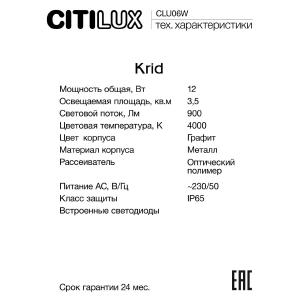 Уличный настенный светильник Citilux Krid CLU06W