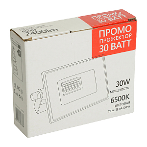 Прожектор уличный Saffit SFL51-30 51193