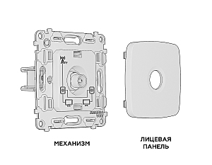 Розетка Ambrella Volt OMEGA MO813030