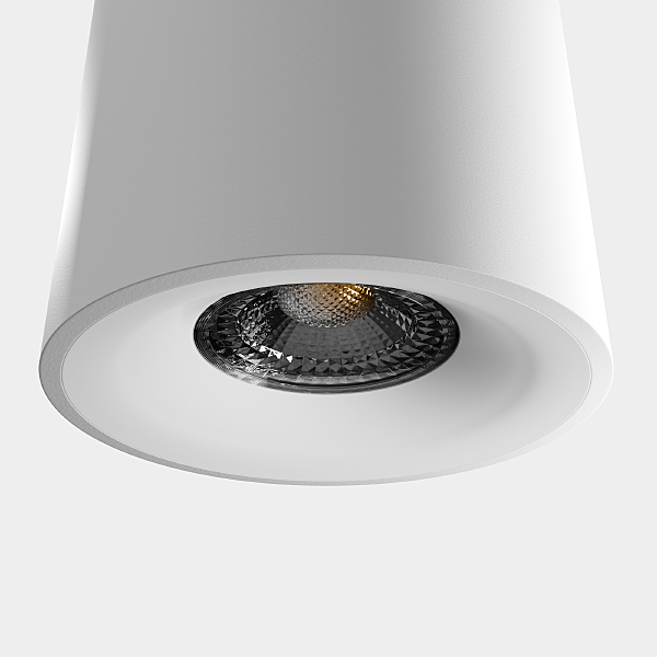 Накладной светильник LIGHTERA Shamrock LE201CL-1WB